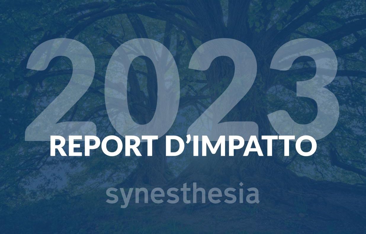 report d'impatto 2023_Synesthesia