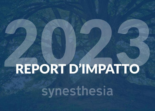 report d'impatto 2023_Synesthesia